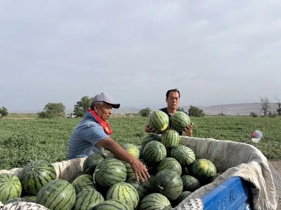每天吃瓜不停,跟随我一起畅游美食世界