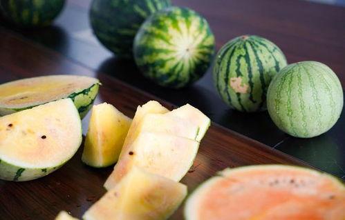 彩虹吃瓜的介绍,揭秘网络红人的魅力与争议