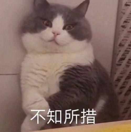 吃瓜戴口罩表情