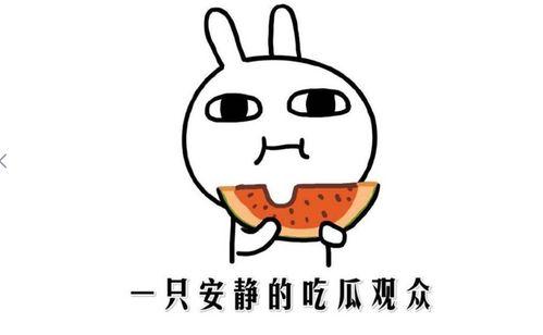 群众吃瓜的由来,吃瓜群众的演变之路