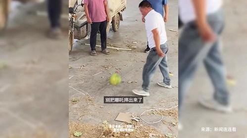 男子吃瓜被扔,意外成为扔瓜焦点