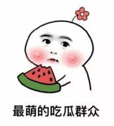 猪猪女孩的吃瓜,猪猪女孩的甜蜜瓜界探险记