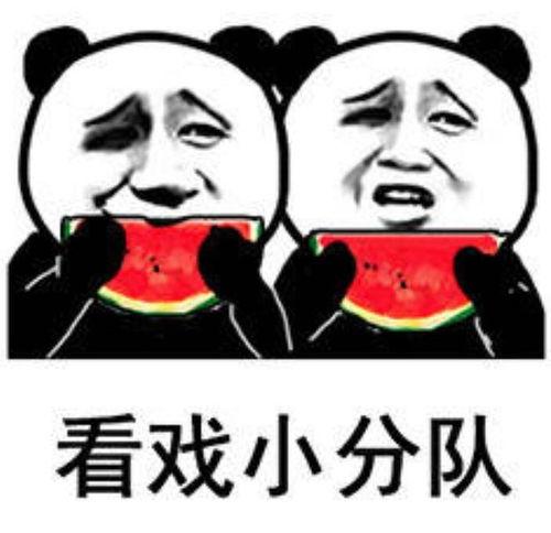 吃瓜视频表情包,揭秘网络热梗背后的趣味与智慧