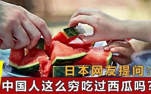 国际吃瓜网站