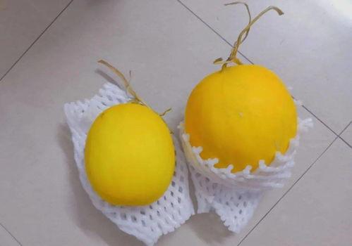 吃蜜瓜伤胃吗,蜜瓜美味却伤胃？揭秘蜜瓜对胃部的影响