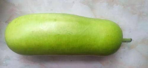 立秋海报吃瓜,海报吃瓜，品味丰收喜悦