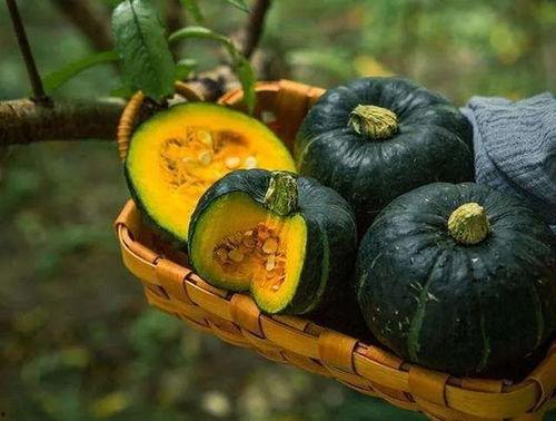 板栗瓜不甜怎么吃,板栗瓜不甜的多样食用攻略