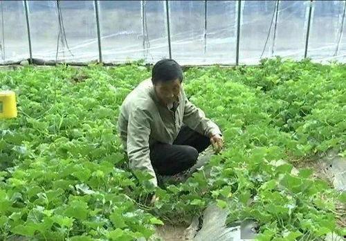 吃瓜添乱名场面,揭秘名场面背后的八卦风云