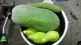 最近国内吃瓜,揭秘近期国内热门事件背后的真相与热议