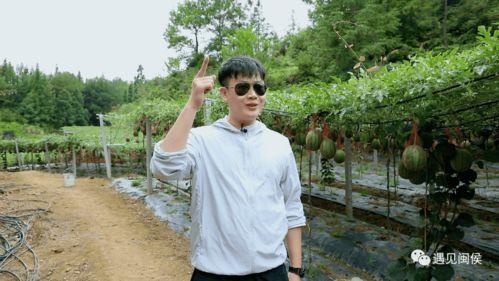 代吃王大山吃瓜,揭秘网络红人吃瓜背后的故事