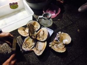 吃瓜娘娘吃瓜,吃瓜娘娘的瓜田奇遇记