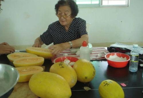 民国 吃瓜,那些年我们一起“吃瓜”的故事