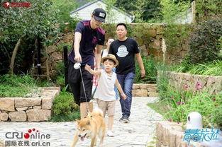 吃瓜旅行团,畅游世界美食之旅