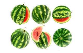 吃瓜玉米公主,揭秘宫廷中的神秘瓜果传奇